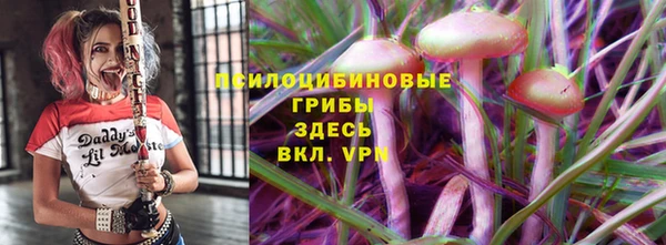 бошки Абаза