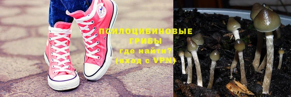 бошки Абаза